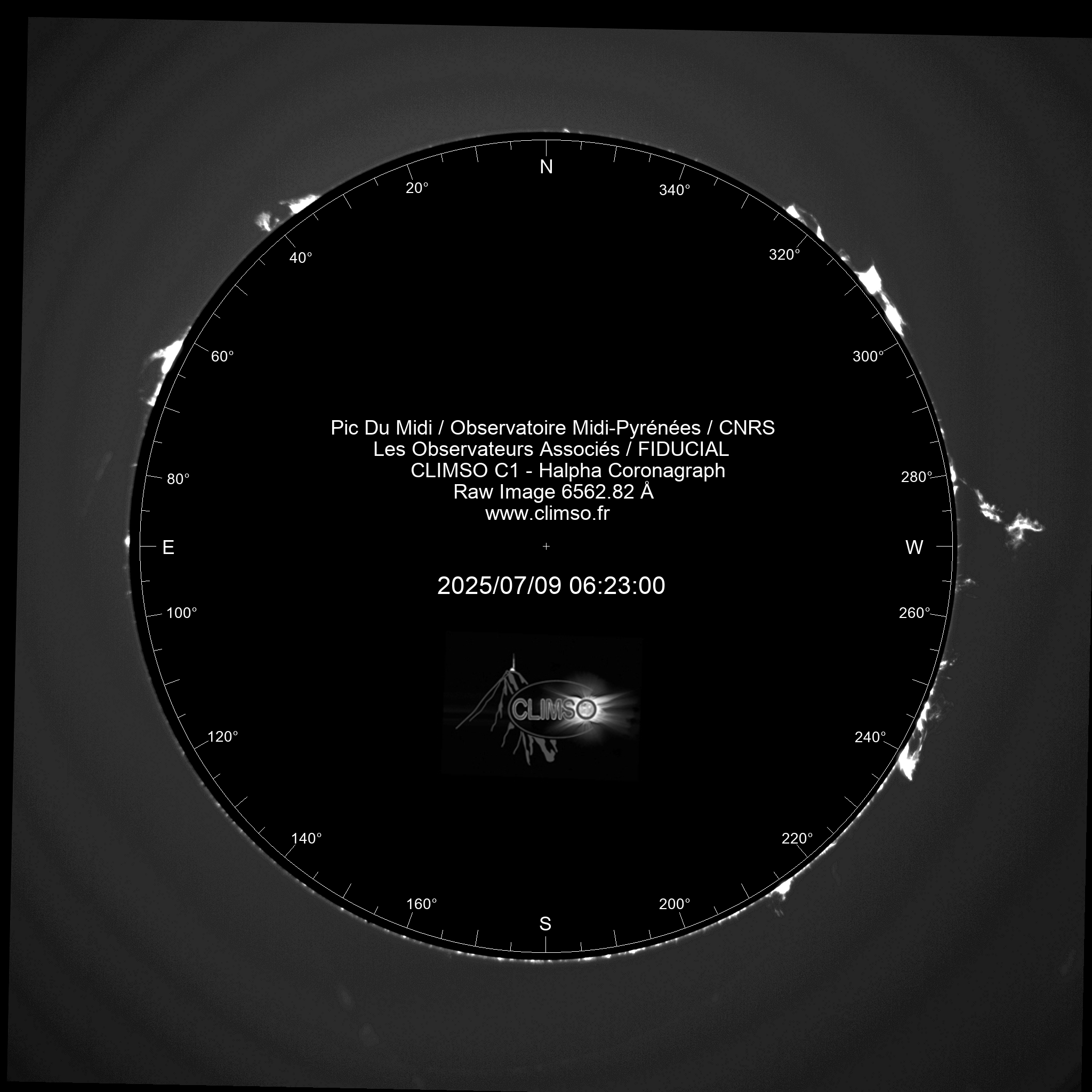 Image C1 6563