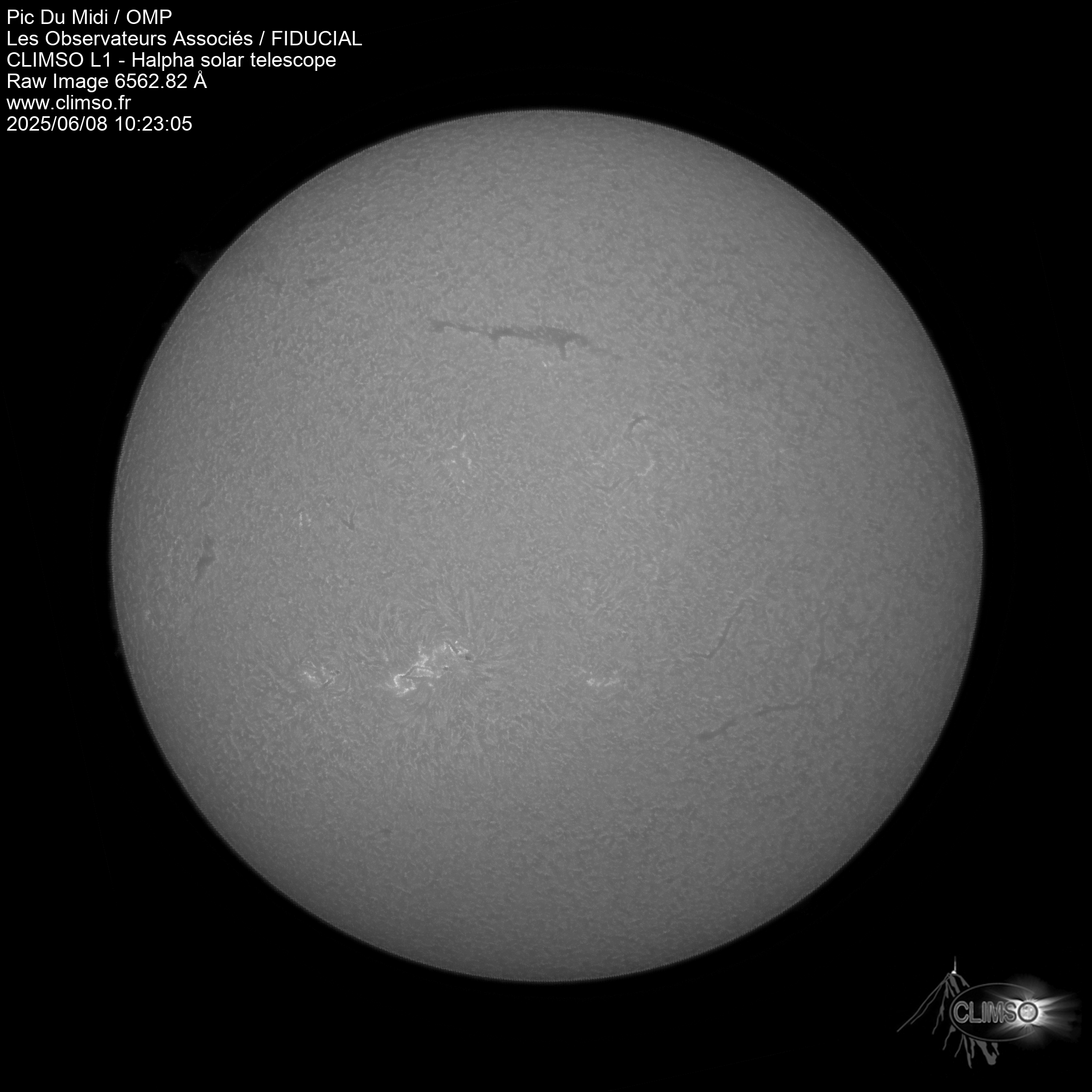 Image L1 6563