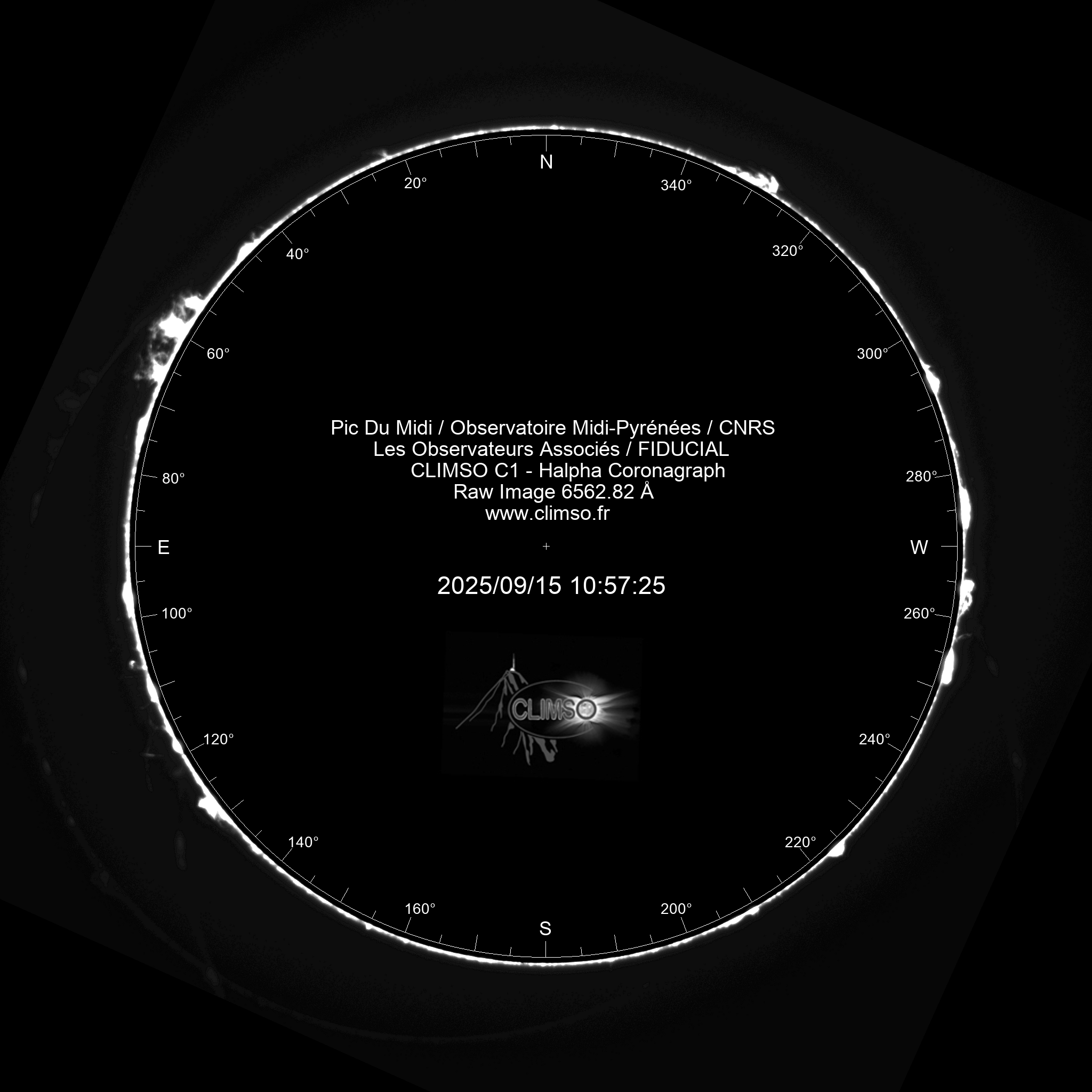 Image C1 6563