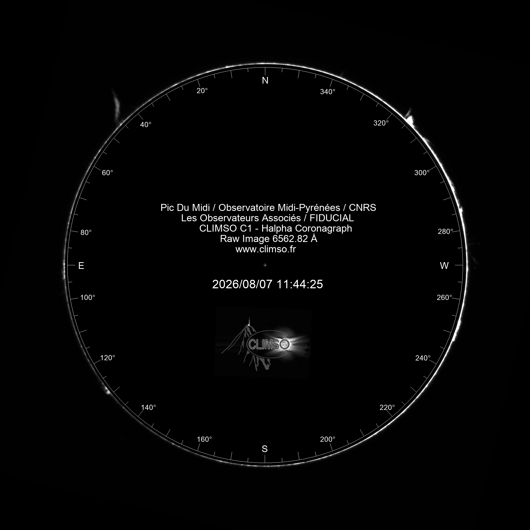 Image C1 6563