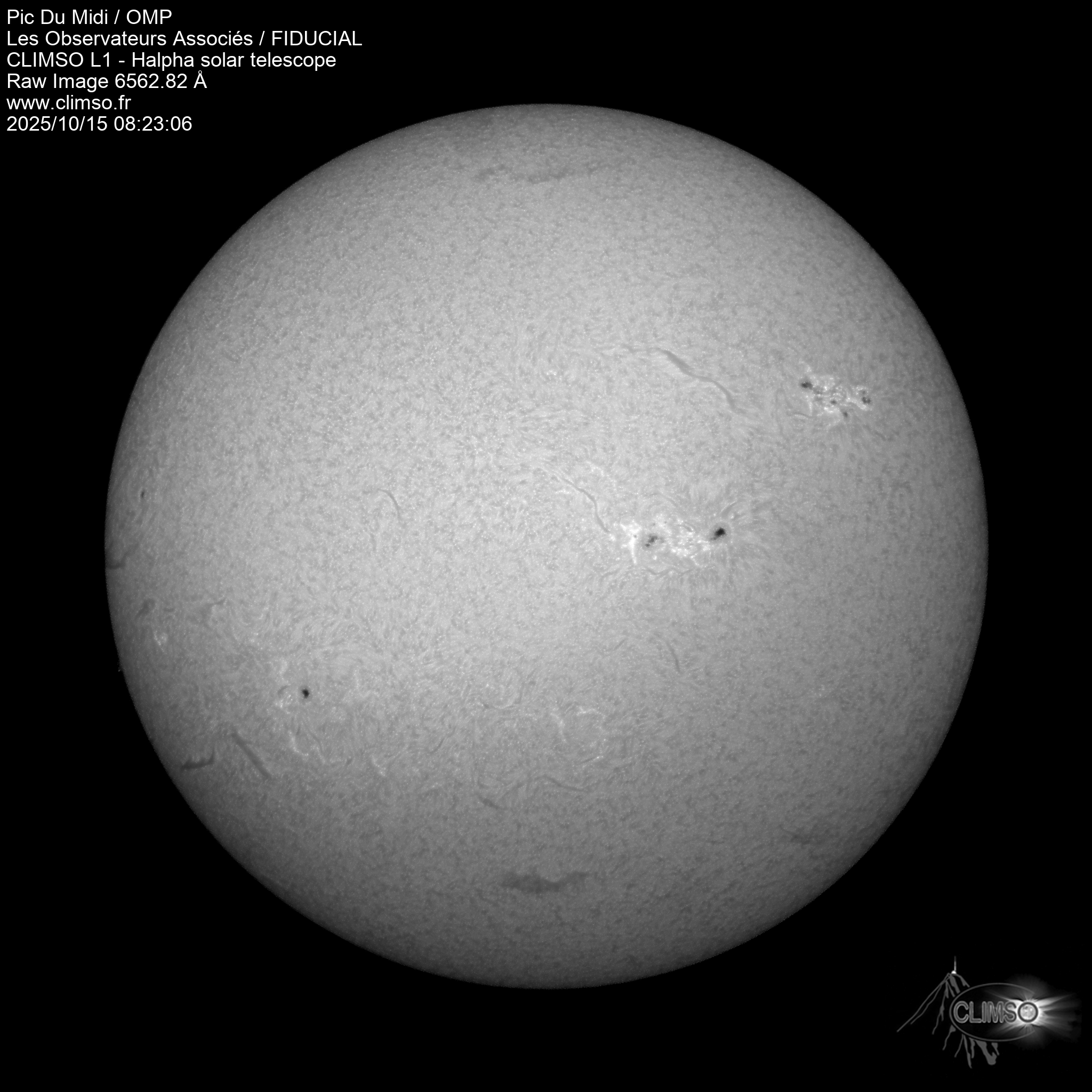 Image L1 6563