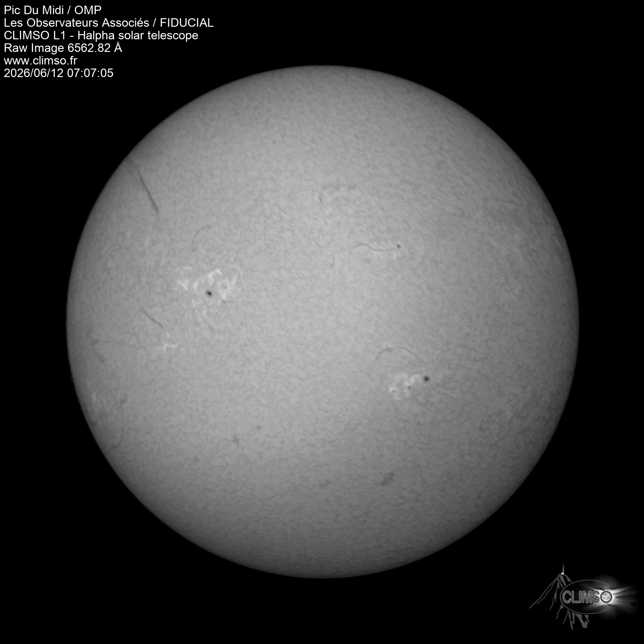 Image L1 6563