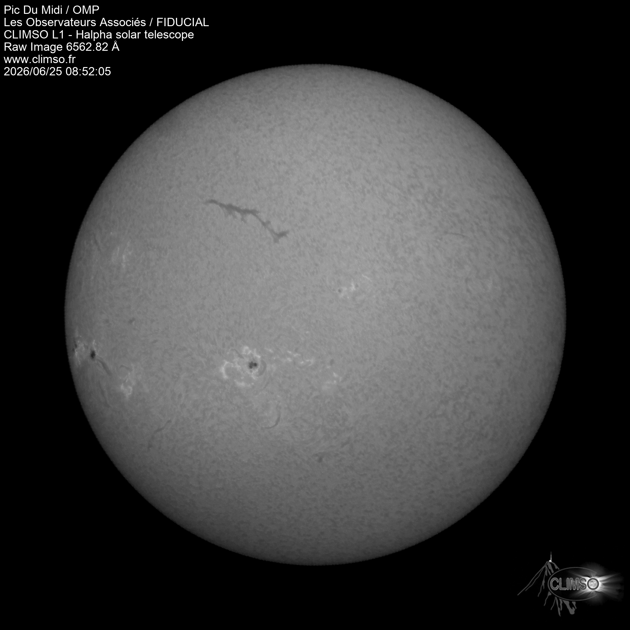Image L1 6563