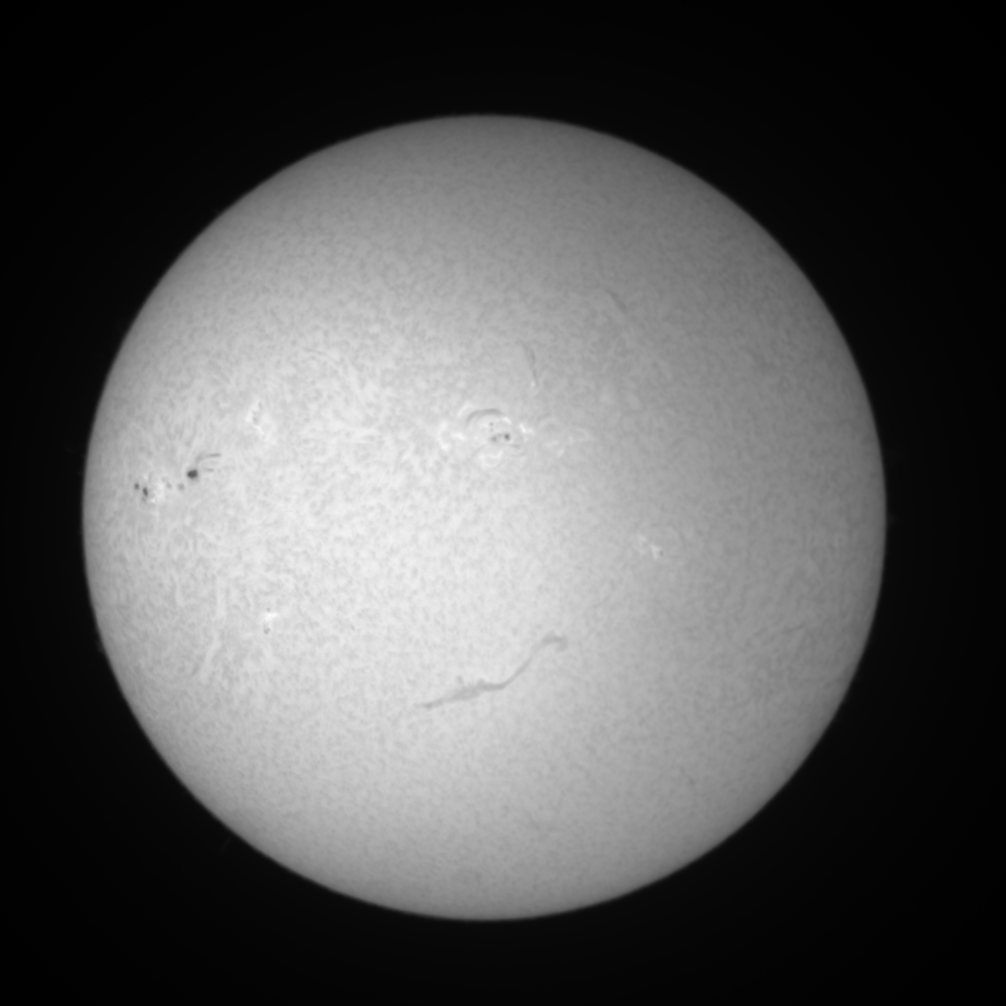 Image L1 6563