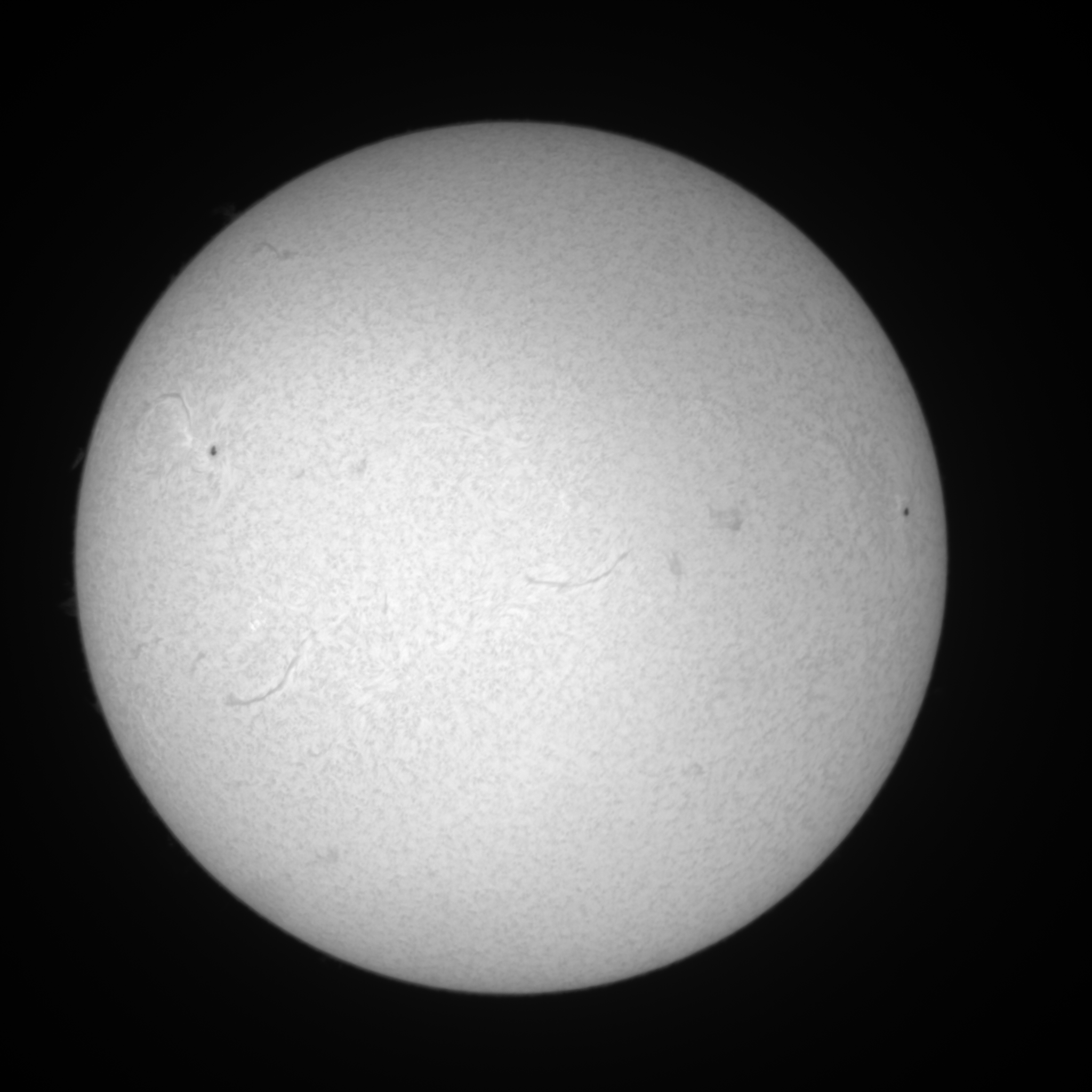 Image L1 6563