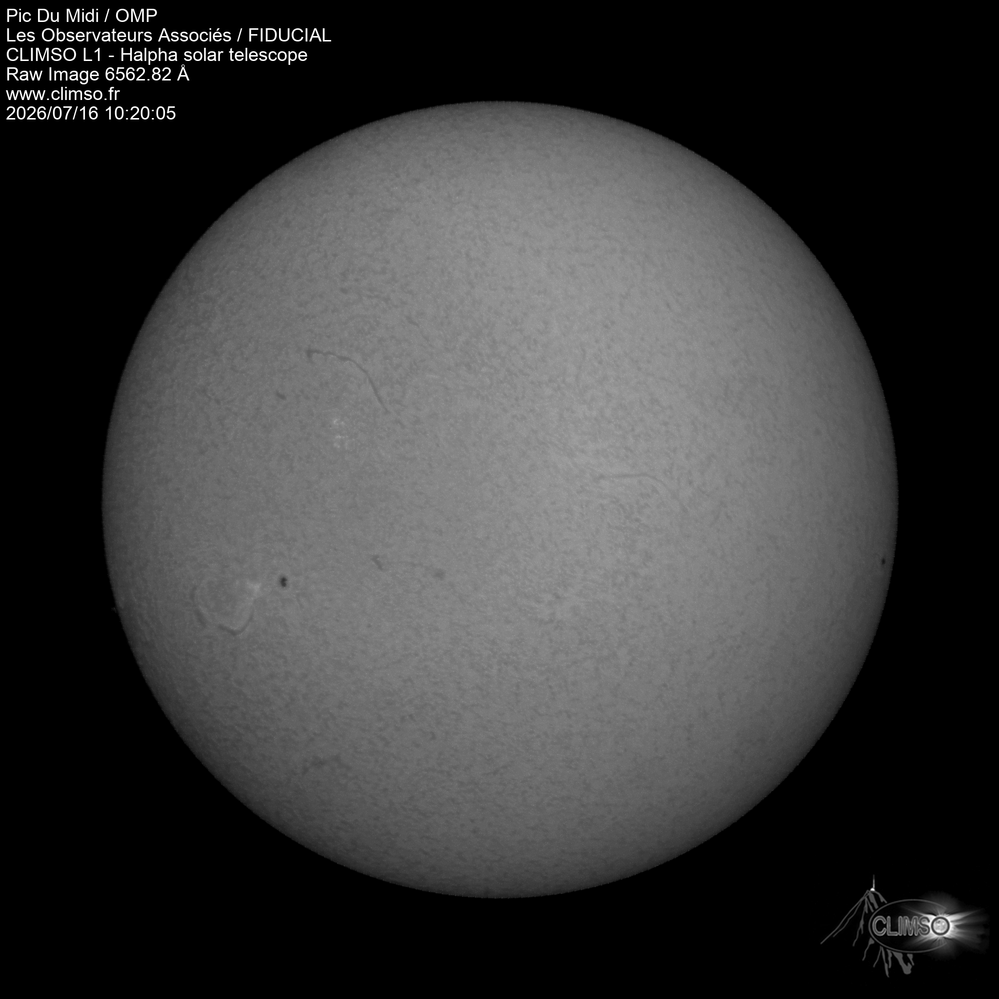 Image L1 6563
