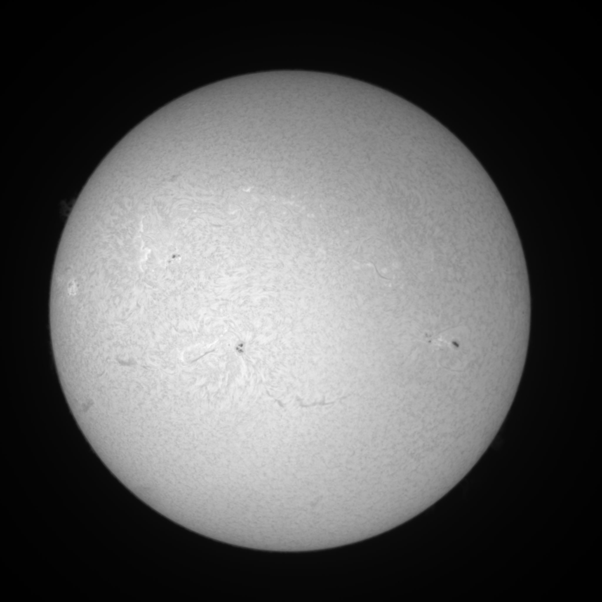 Image L1 6563