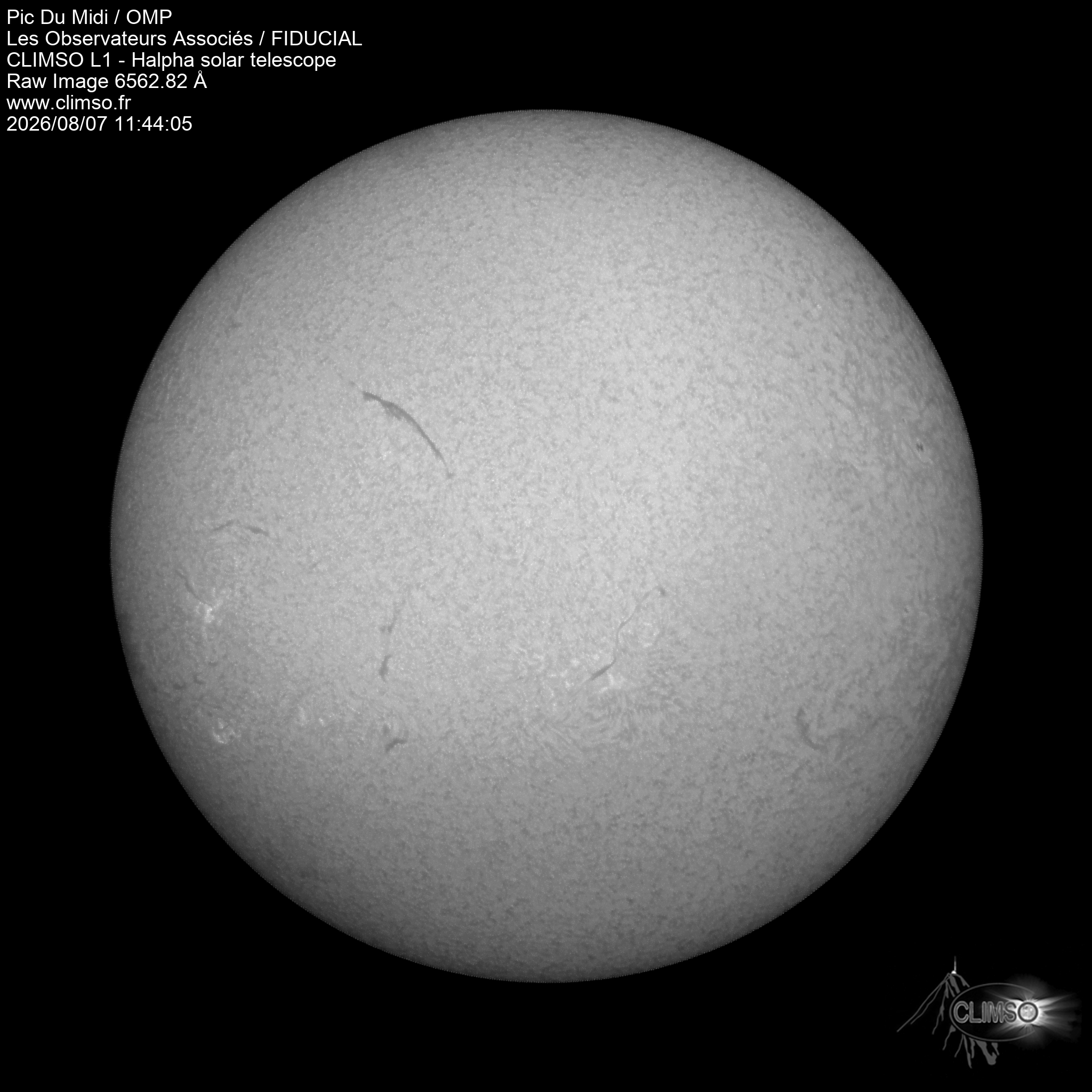 Image L1 6563