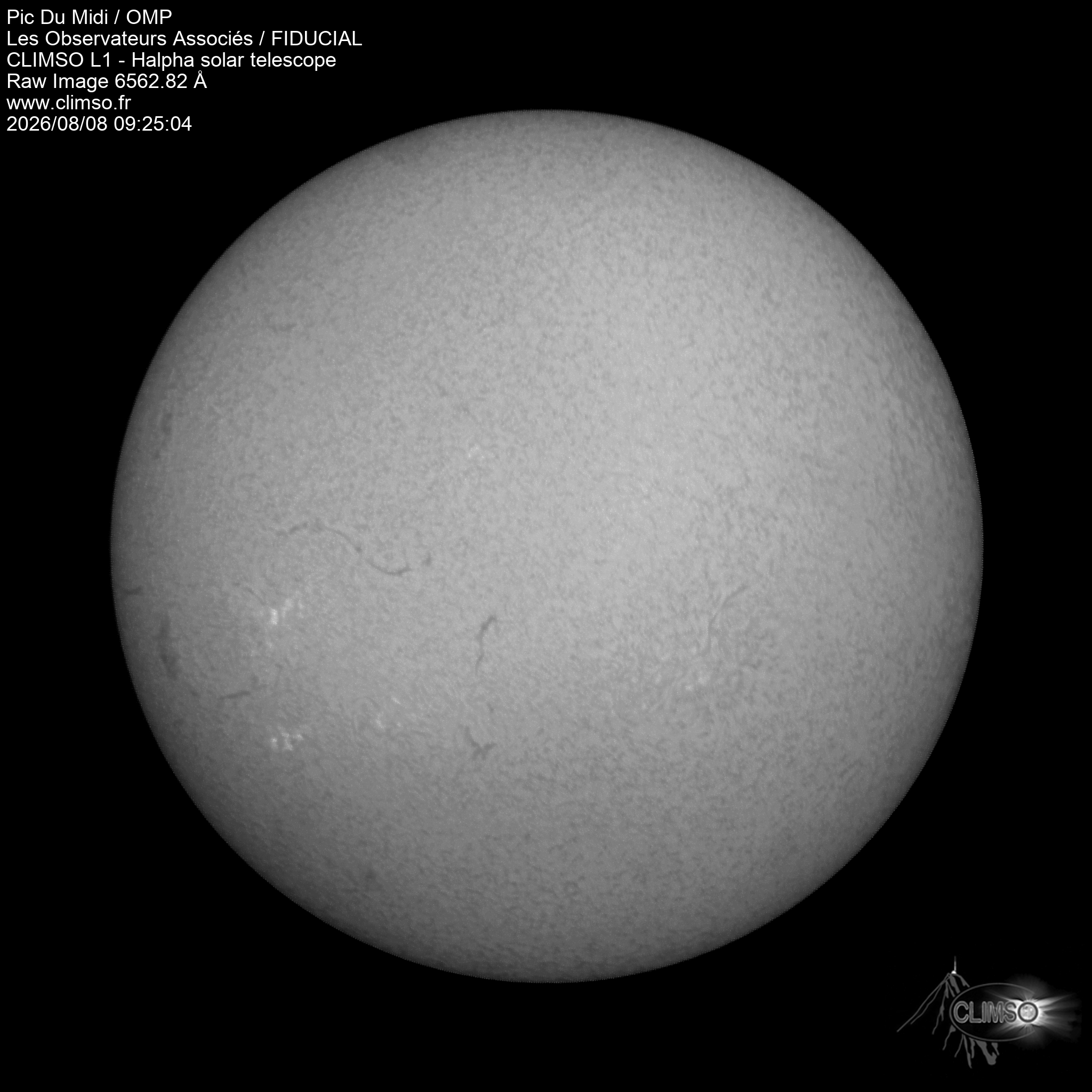 Image L1 6563