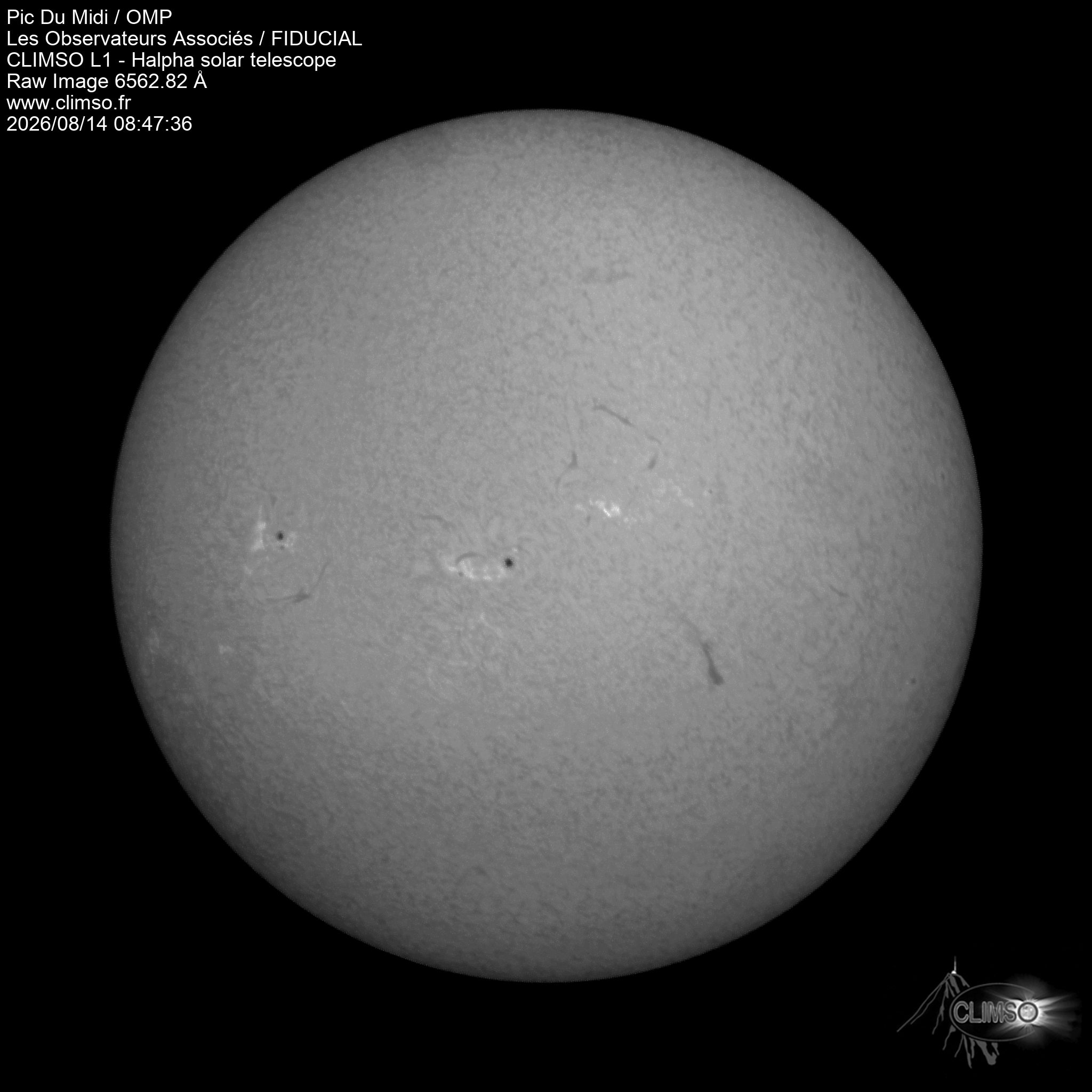Image L1 6563