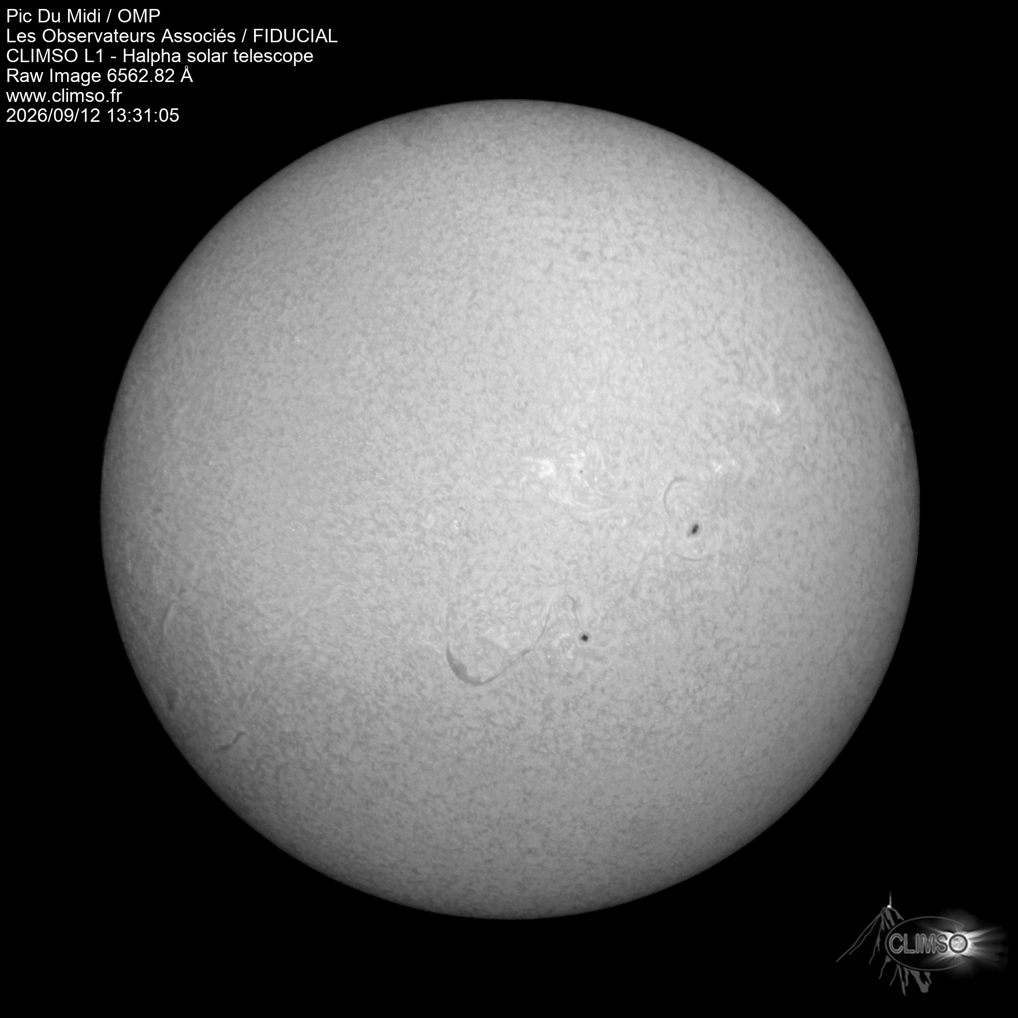 Image L1 6563