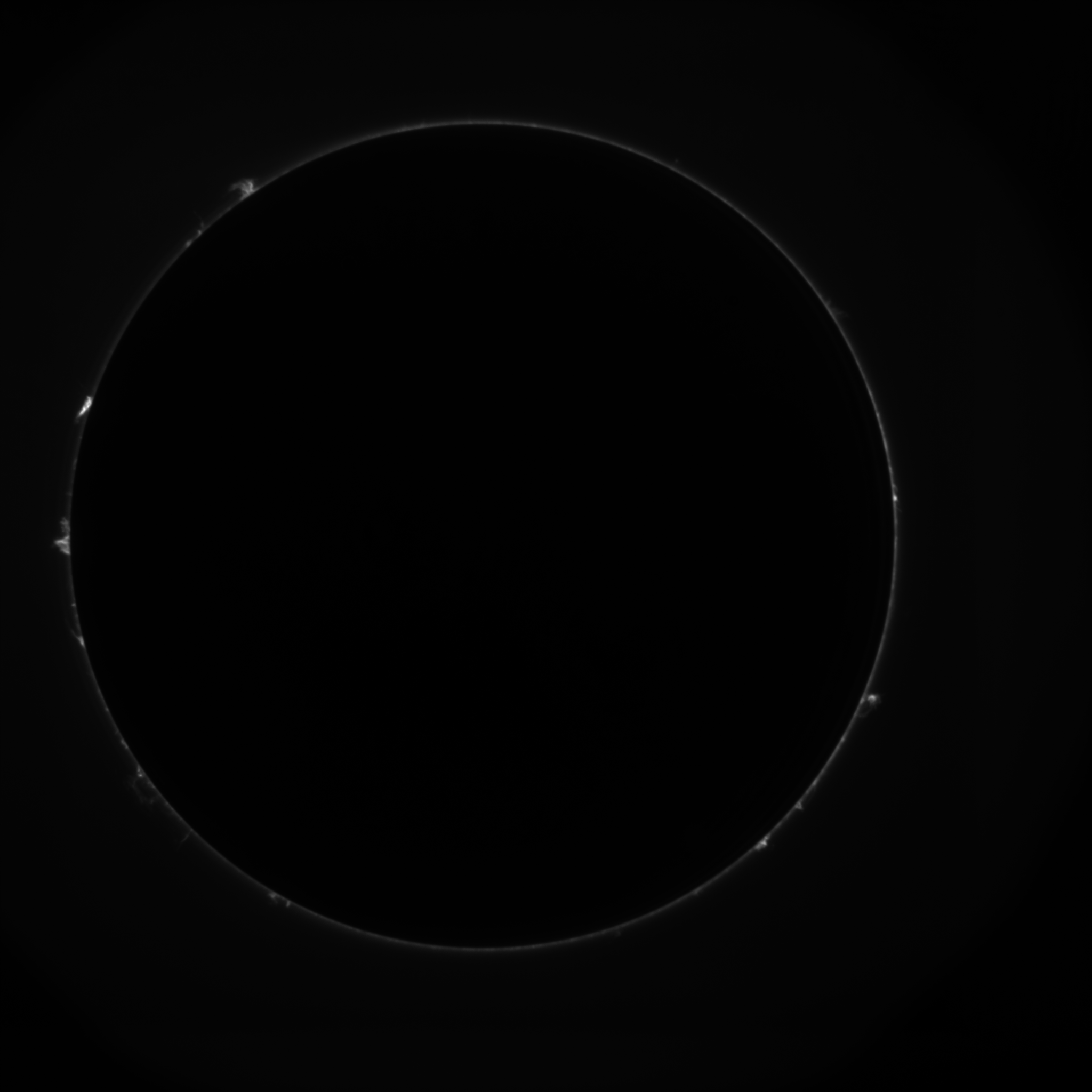 Image C2 10830